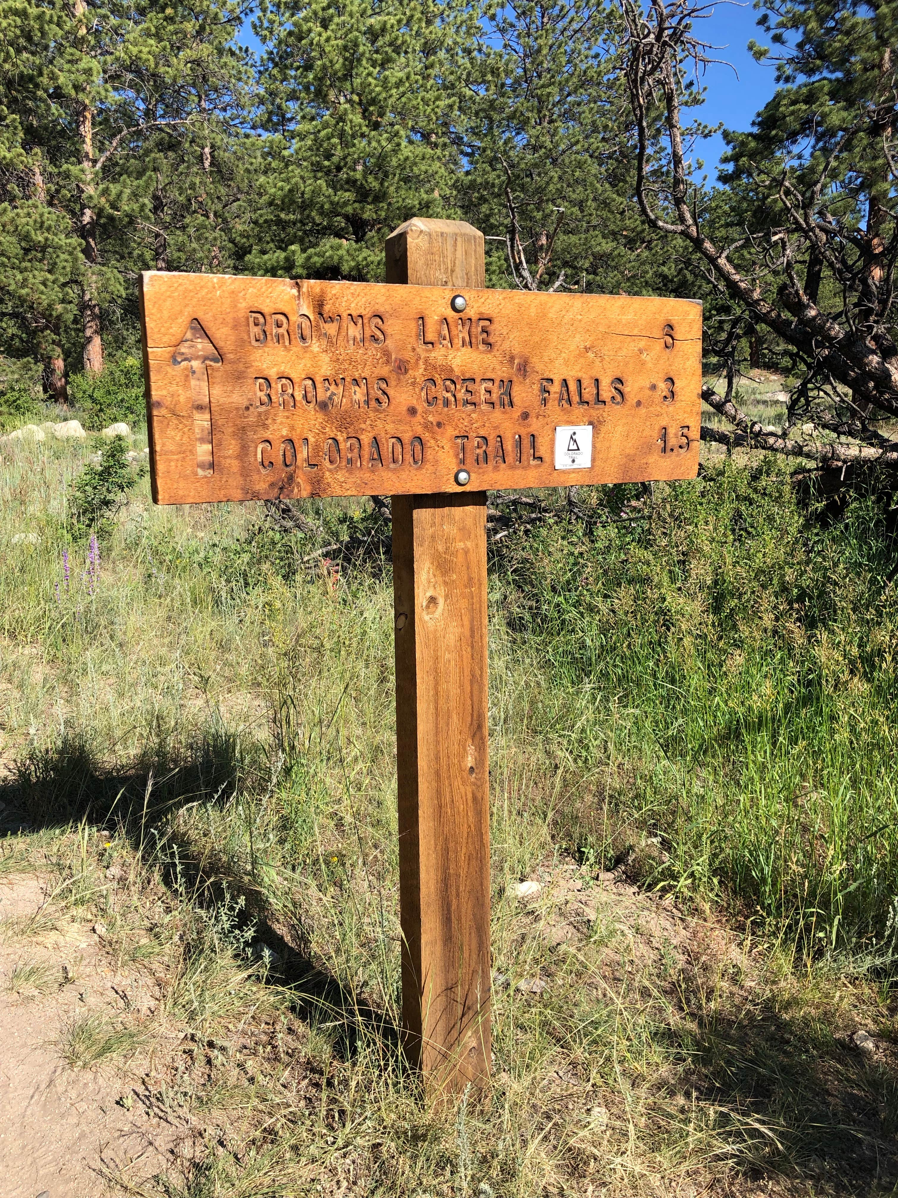 Camper-submitted photo at Browns Creek near Poncha Springs, CO