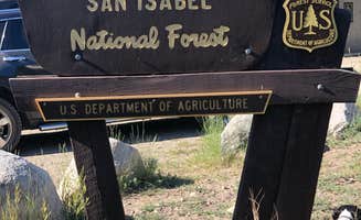 Amber W.'s photo of camping with pets at Browns Creek near Buena Vista, CO