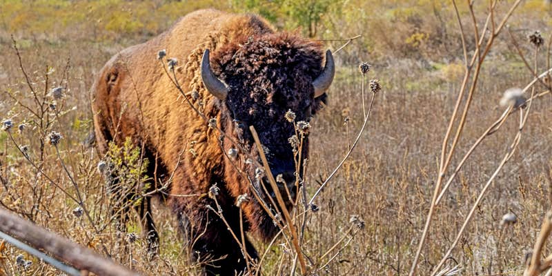 Camper submitted image from Breckenridge / Hubbard Creek Lake KOA Journey
