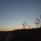 Review photo of Ryan Campground — Joshua Tree National Park by kevin T., June 7, 2016
