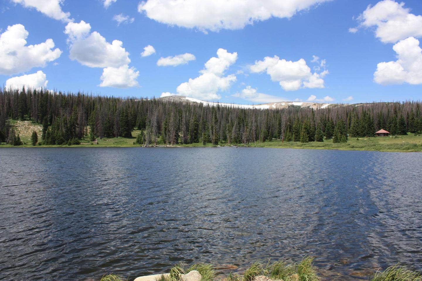 Camper submitted image from Little Brooklyn Lake Guard - Temporarily Closed - 2