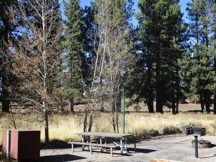 Camper submitted image from Alpine Meadow Campground - 1