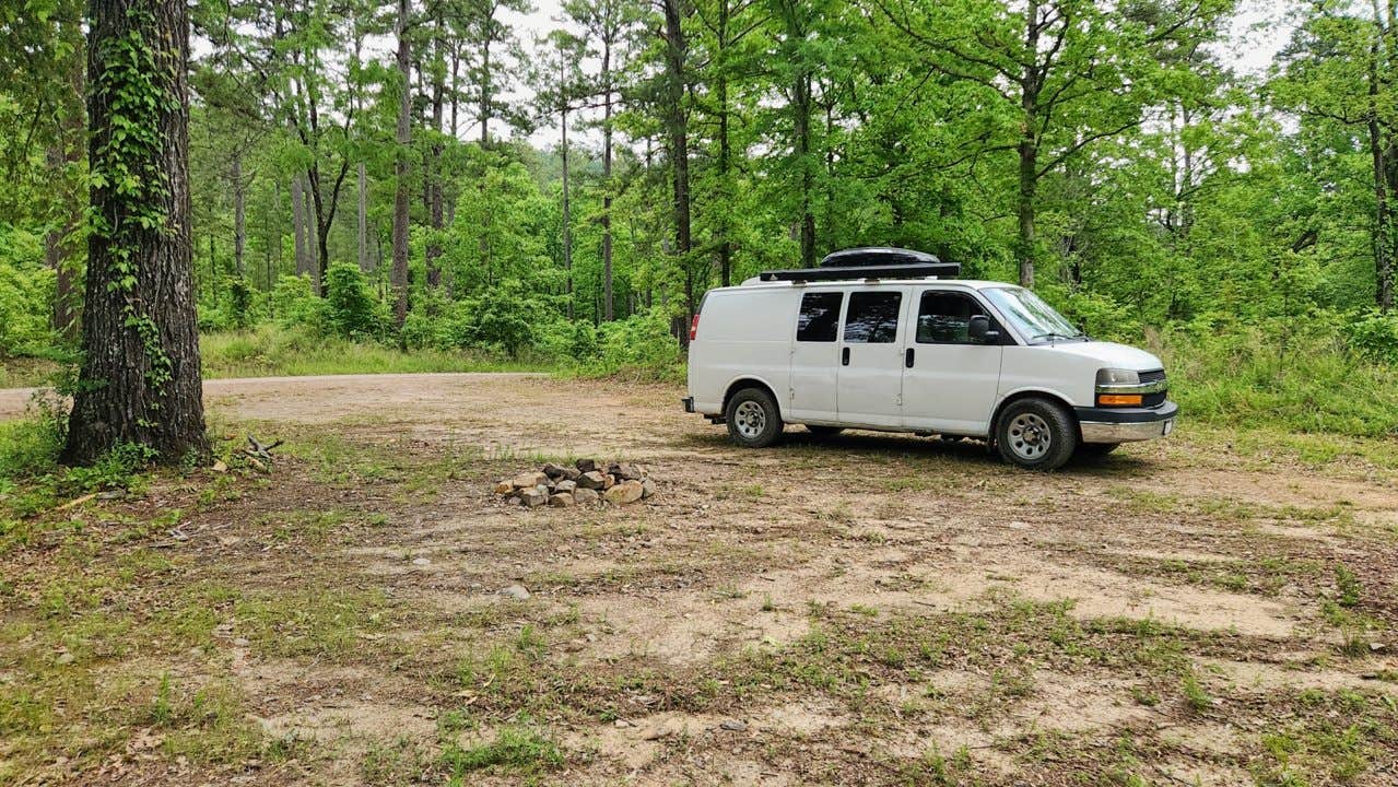 Camper-submitted photo at Gladstone Forest Rd (FR11) Large Dispersed near Royal, AR