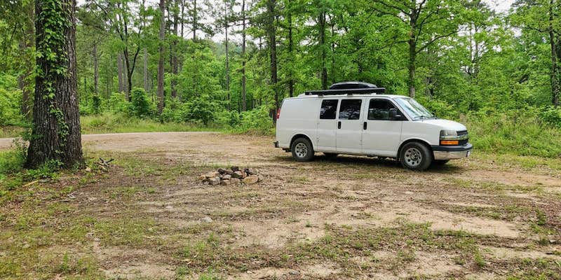 Camper submitted image from Gladstone Forest Rd (FR11) Large Dispersed