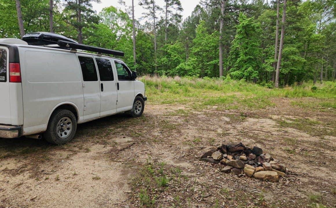 Camper-submitted photo at Gladstone Forest Rd (FR11) Large Dispersed near Royal, AR