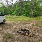 Review photo of Gladstone Forest Rd (FR11) Large Dispersed by Fred S., June 13, 2025