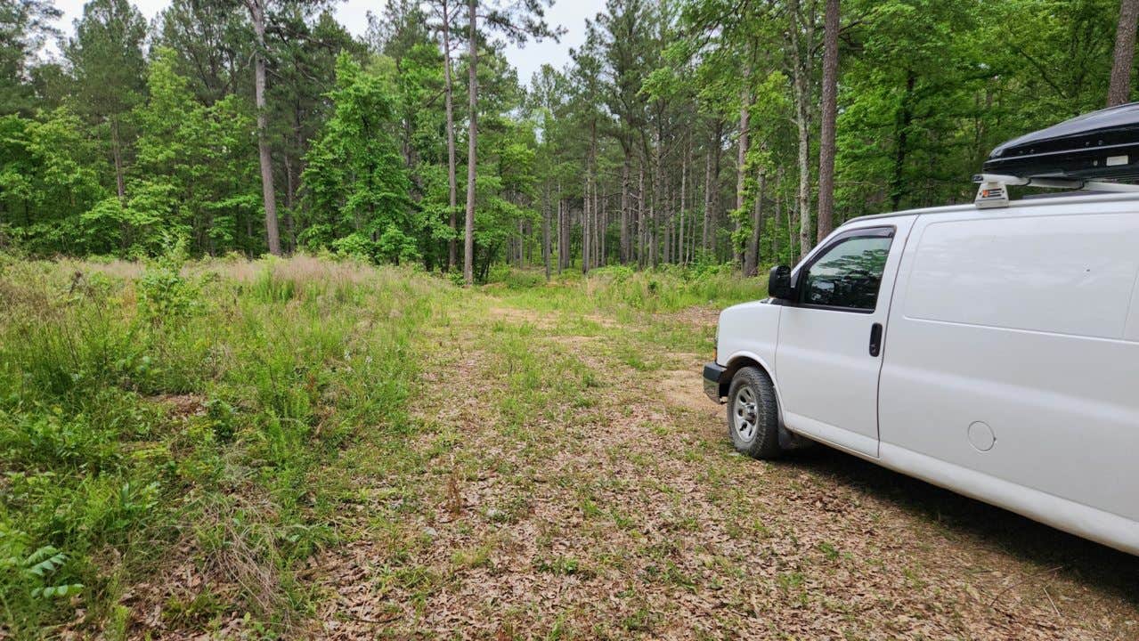 Camper-submitted photo at Gladstone Forest Rd (FR11) Large Dispersed near Royal, AR