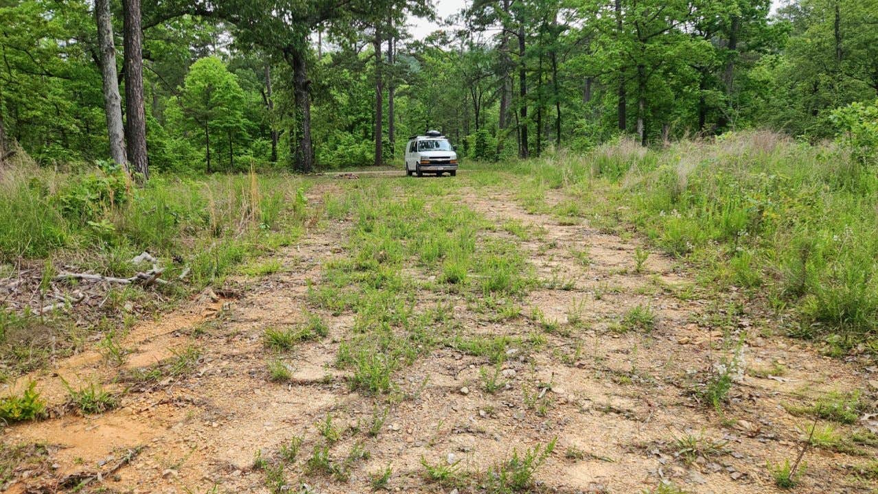 Camper-submitted photo at Gladstone Forest Rd (FR11) Large Dispersed near Royal, AR