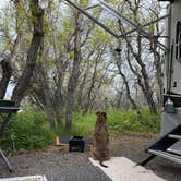 Review photo of South Rim Campground — Black Canyon of the Gunnison National Park by Sky B., June 13, 2025