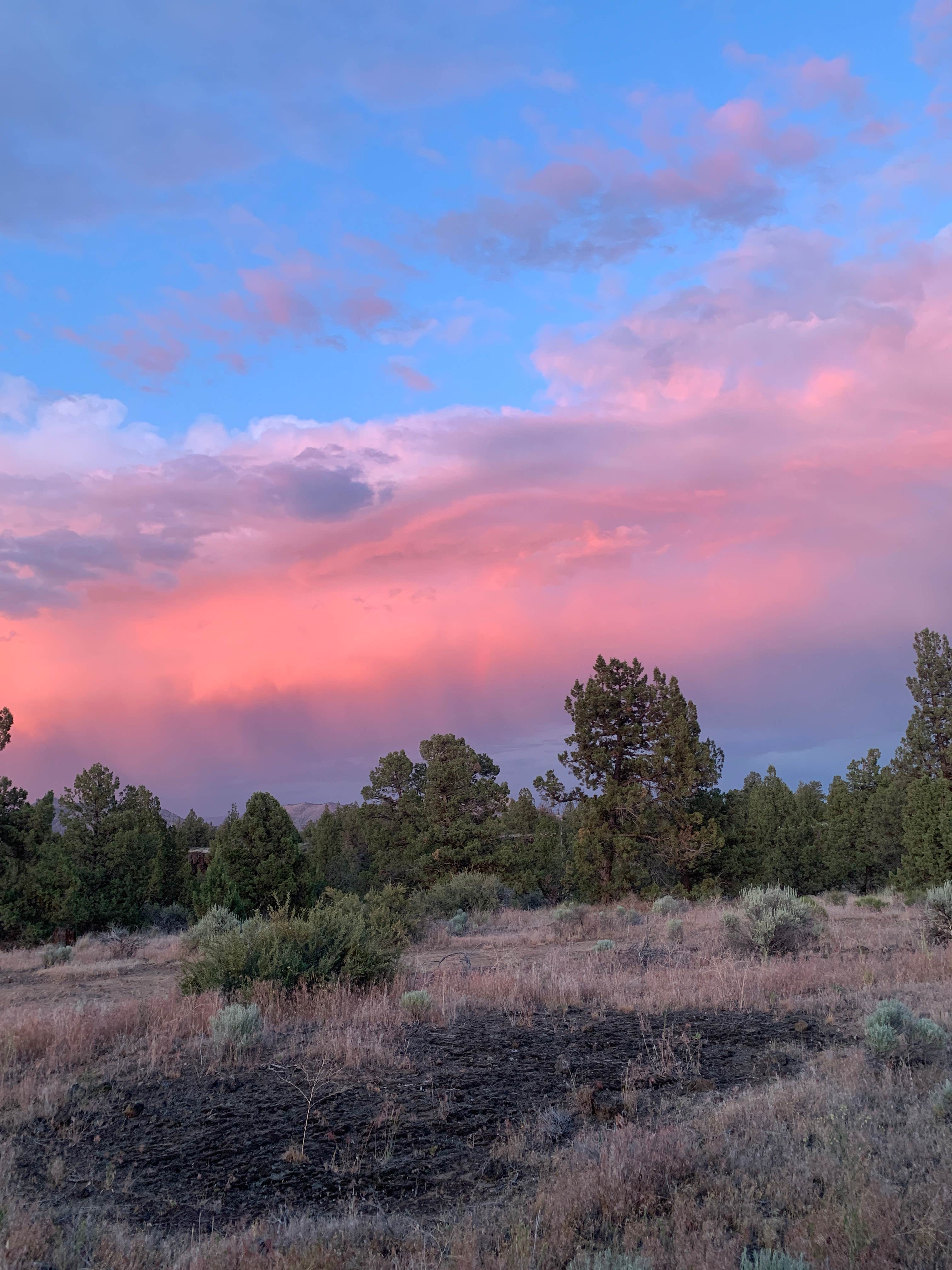 Marc M.'s photo of a dispersed camping area at Terrebonne East Camp Dispersed near Culver, OR