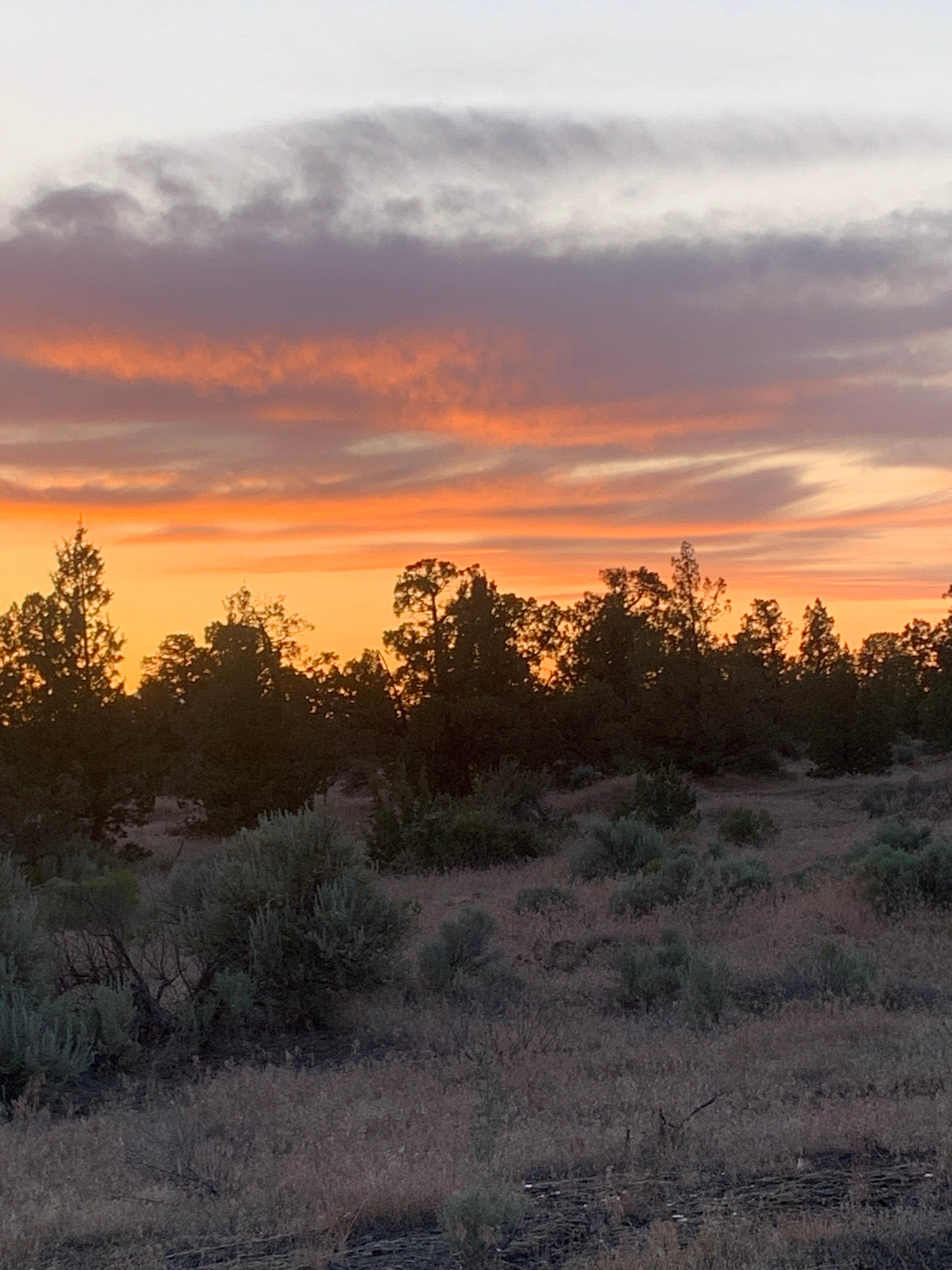 Camper-submitted photo at Terrebonne East Camp Dispersed near Culver, OR