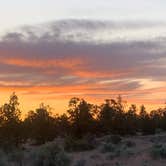 Review photo of Terrebonne East Camp Dispersed by Marc M., June 13, 2025