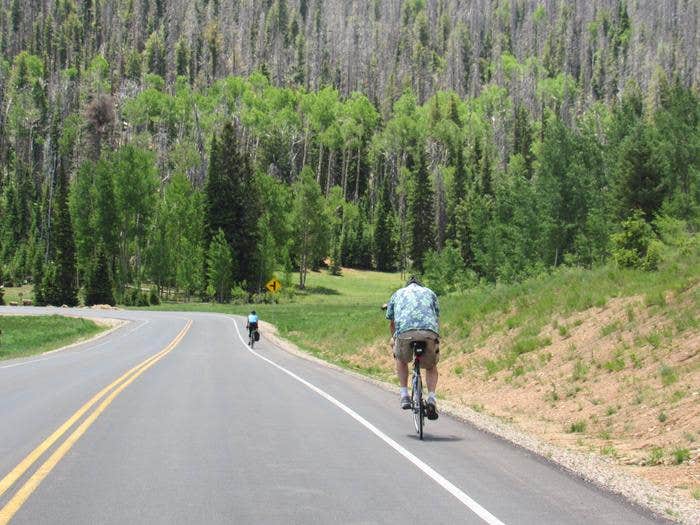 Camper submitted image from Dixie National Forest Te-ah Campground - 5