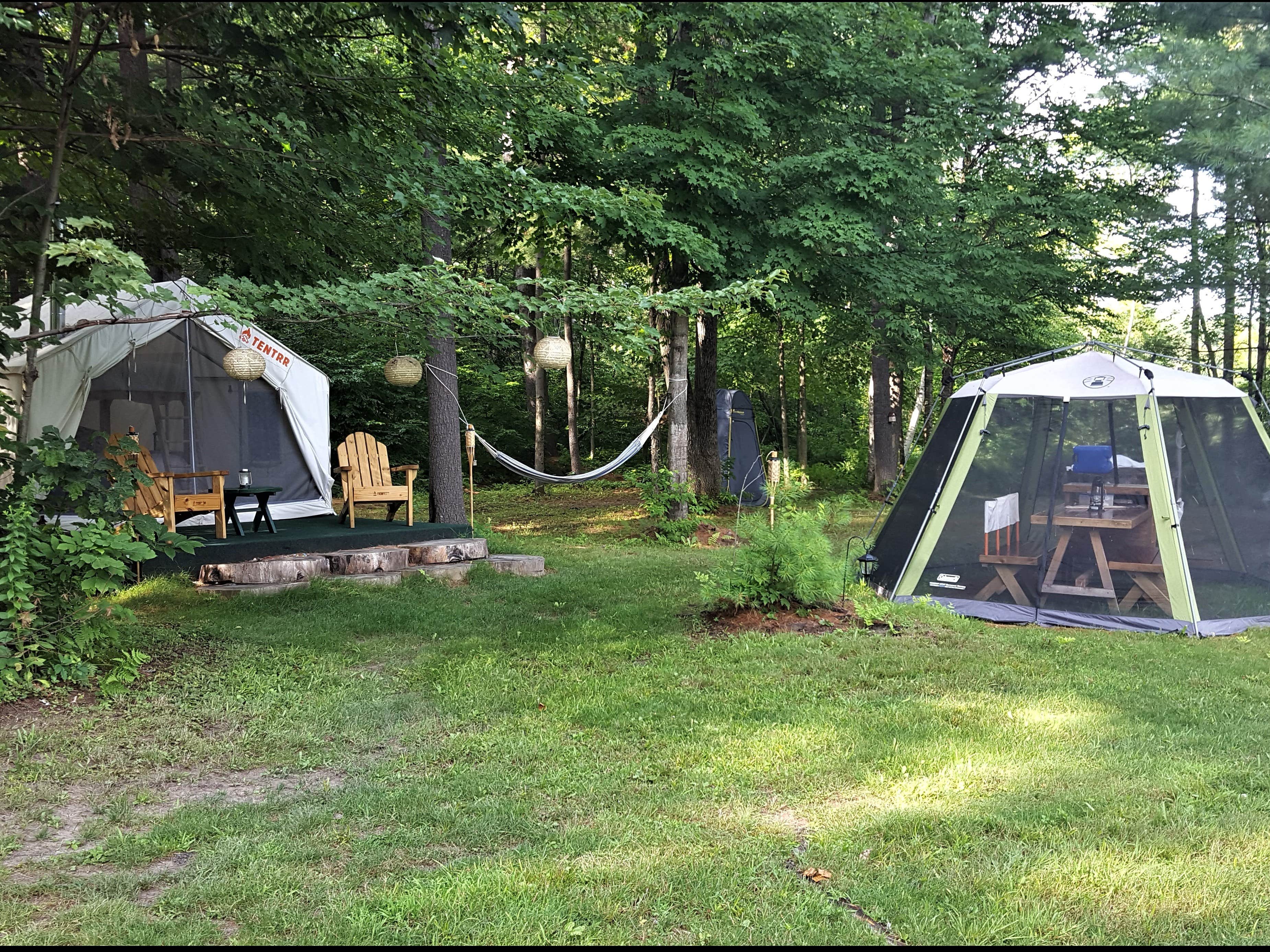 The Dyrt's photo at Restoration at Cattail Cove near Warren, NH