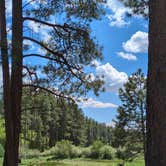 Review photo of Fenton Lake State Park Campground by Nicole B., June 14, 2025