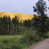 Review photo of Fenton Lake State Park Campground by Nicole B., June 14, 2025