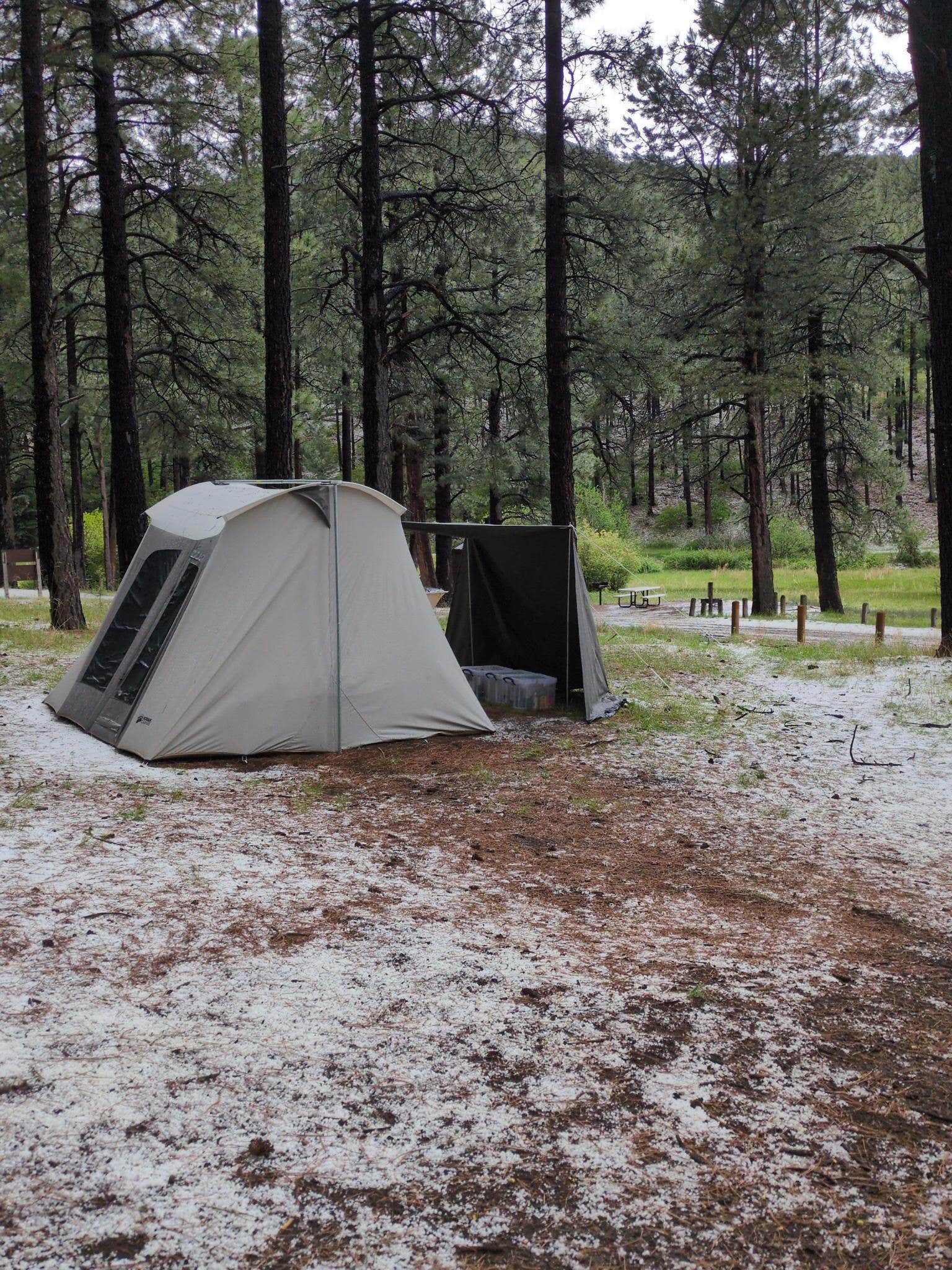 Nicole B.'s photo at Fenton Lake State Park Campground near Lindrith, NM