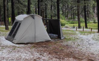 Nicole B.'s photo at Fenton Lake State Park Campground near Cuba, NM