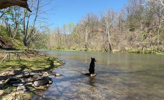 Mark M.'s photo of camping with pets at Shirleys River Retreat near New Castle, VA