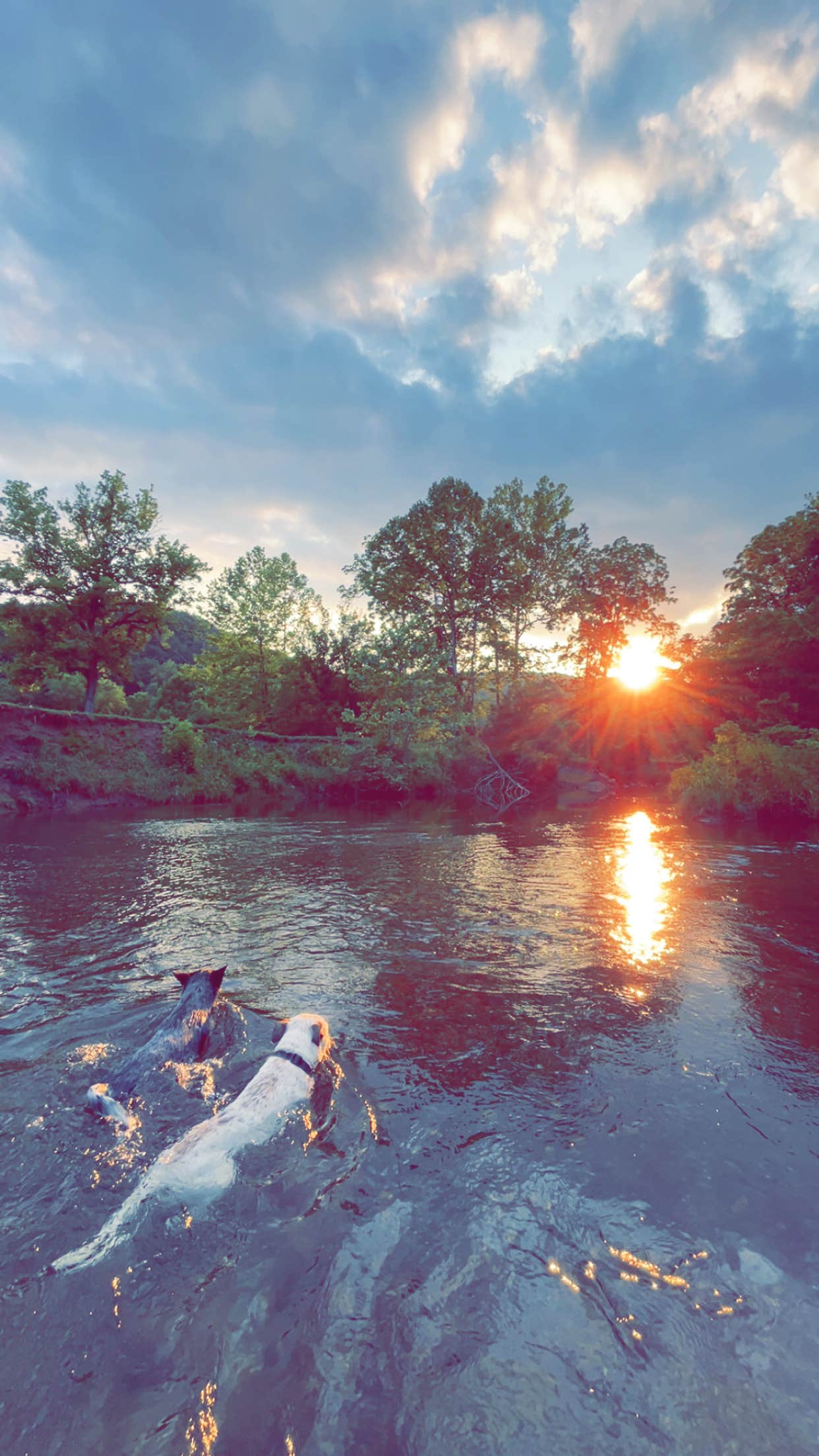 Camper-submitted photo at Shirleys River Retreat near Oriskany, VA
