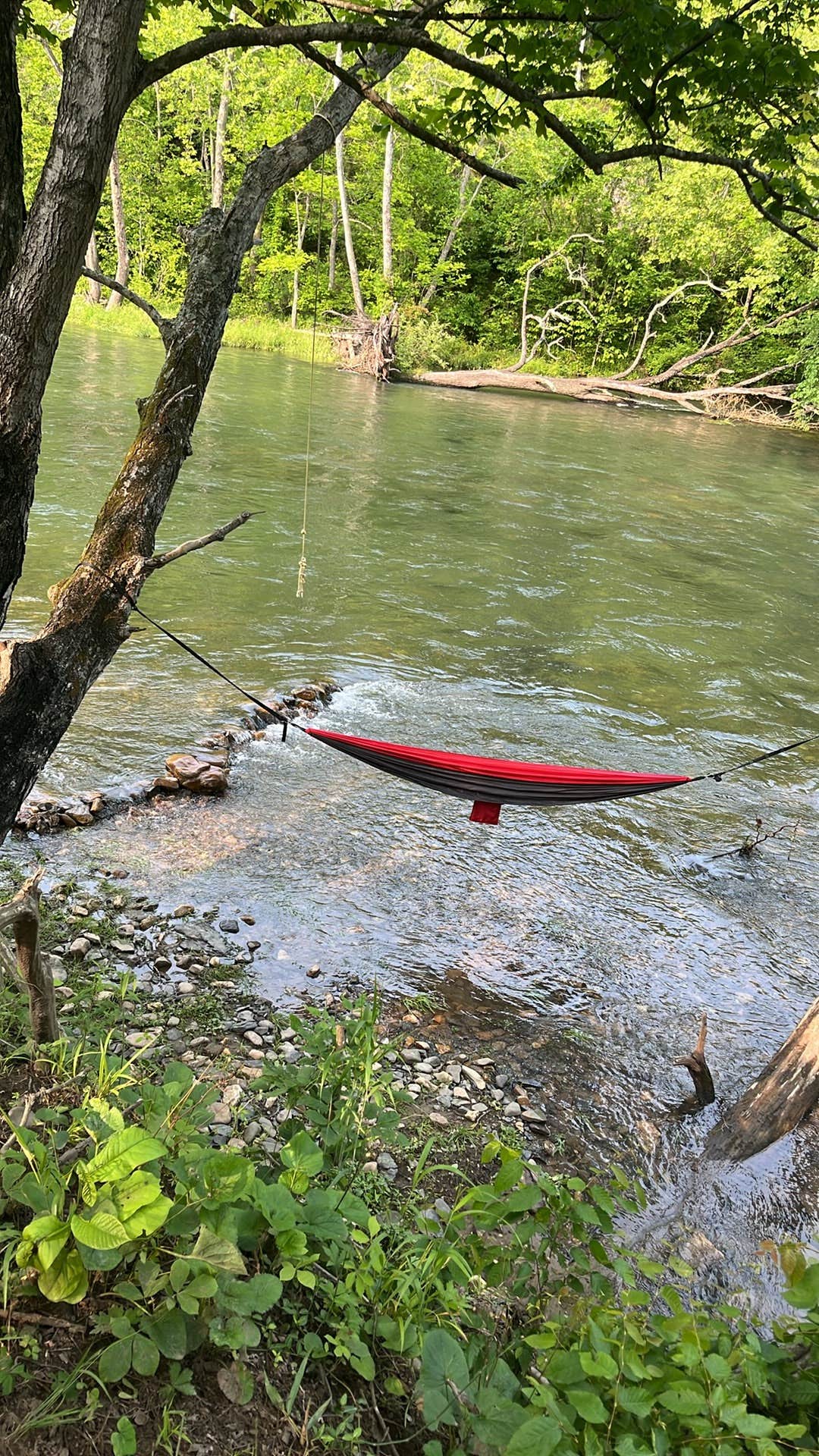Camper-submitted photo at Shirleys River Retreat near Oriskany, VA