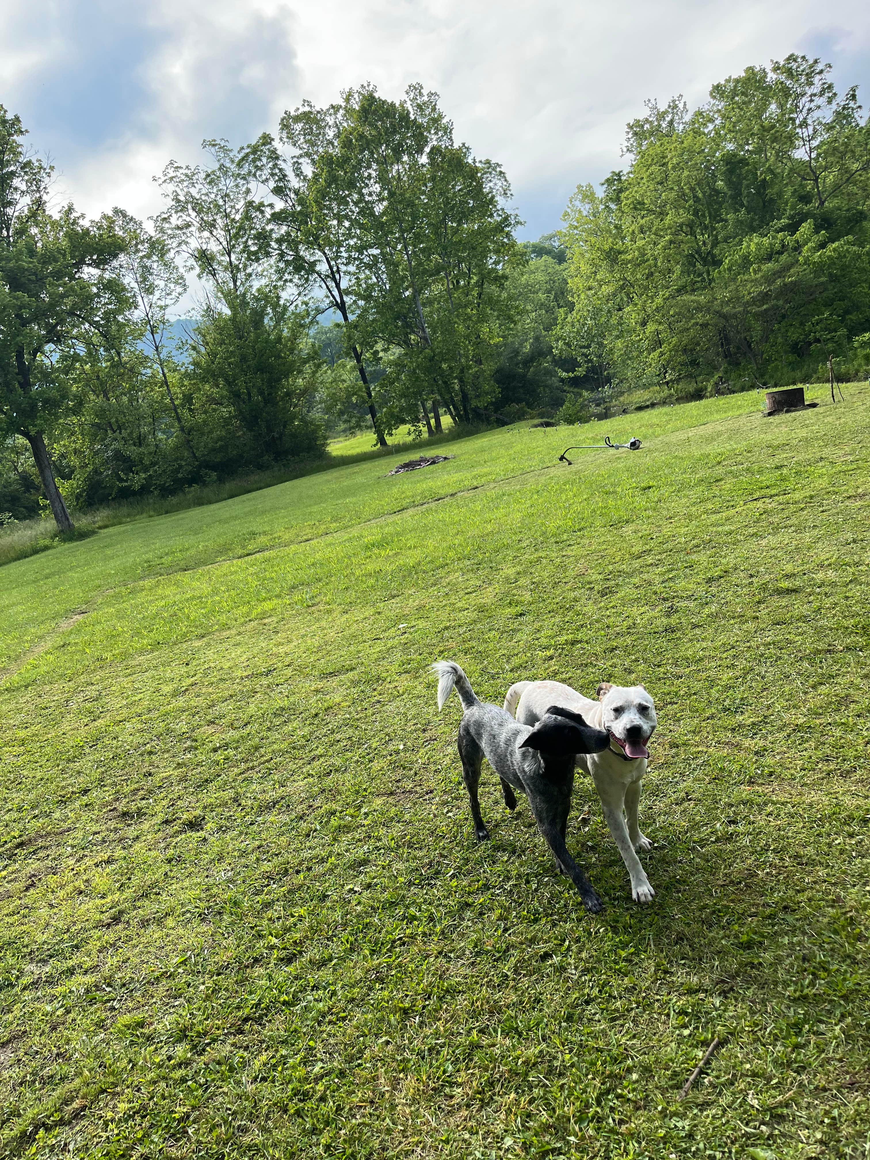 Camper-submitted photo at Shirleys River Retreat near Oriskany, VA