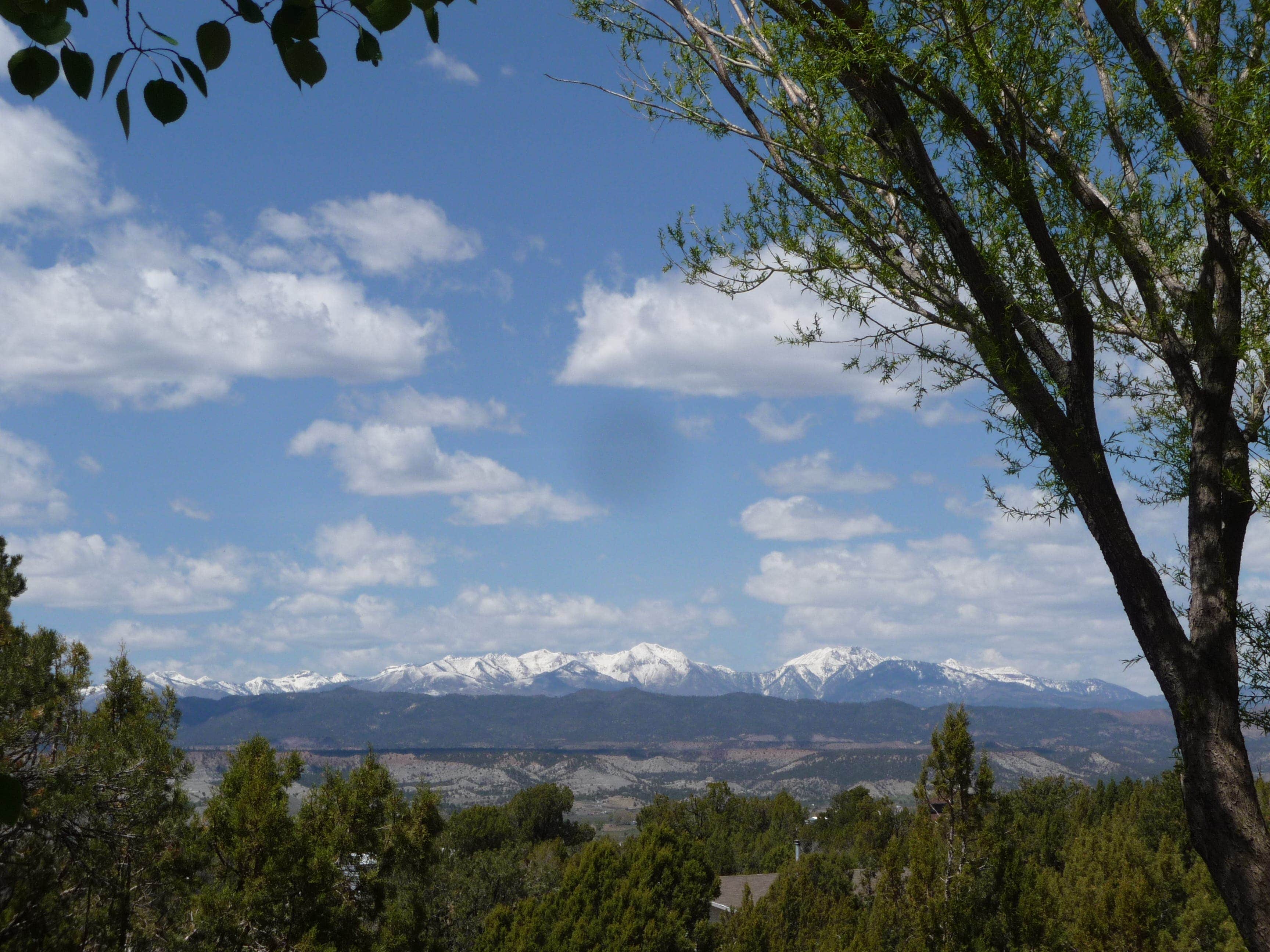 Camper-submitted photo at Durango Year Round RV Park near Aztec, NM