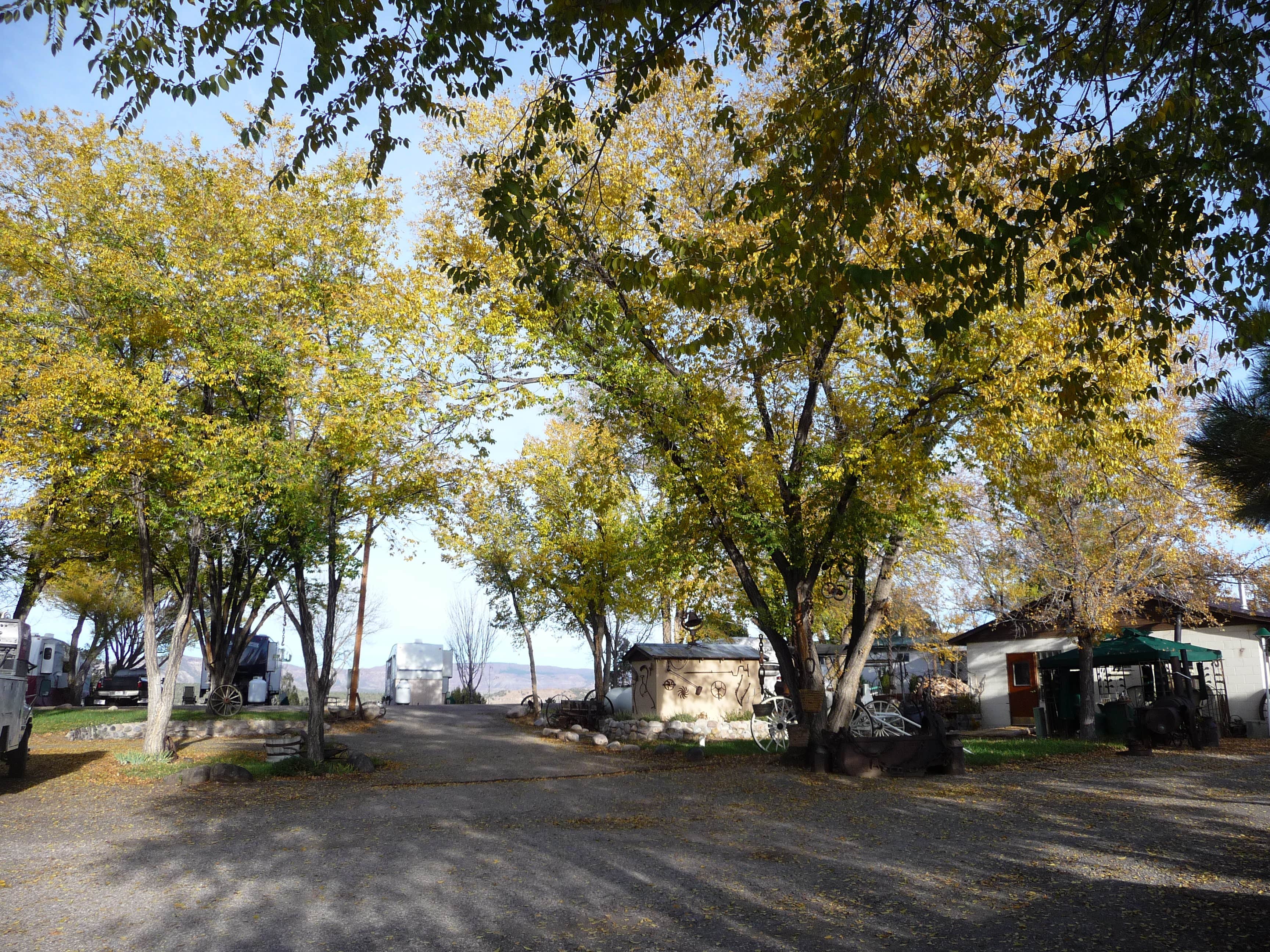 Camper-submitted photo at Durango Year Round RV Park near Aztec, NM