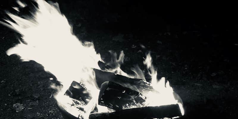 Camper submitted image from Adventure Bound Camping Resort at Eagles Peak