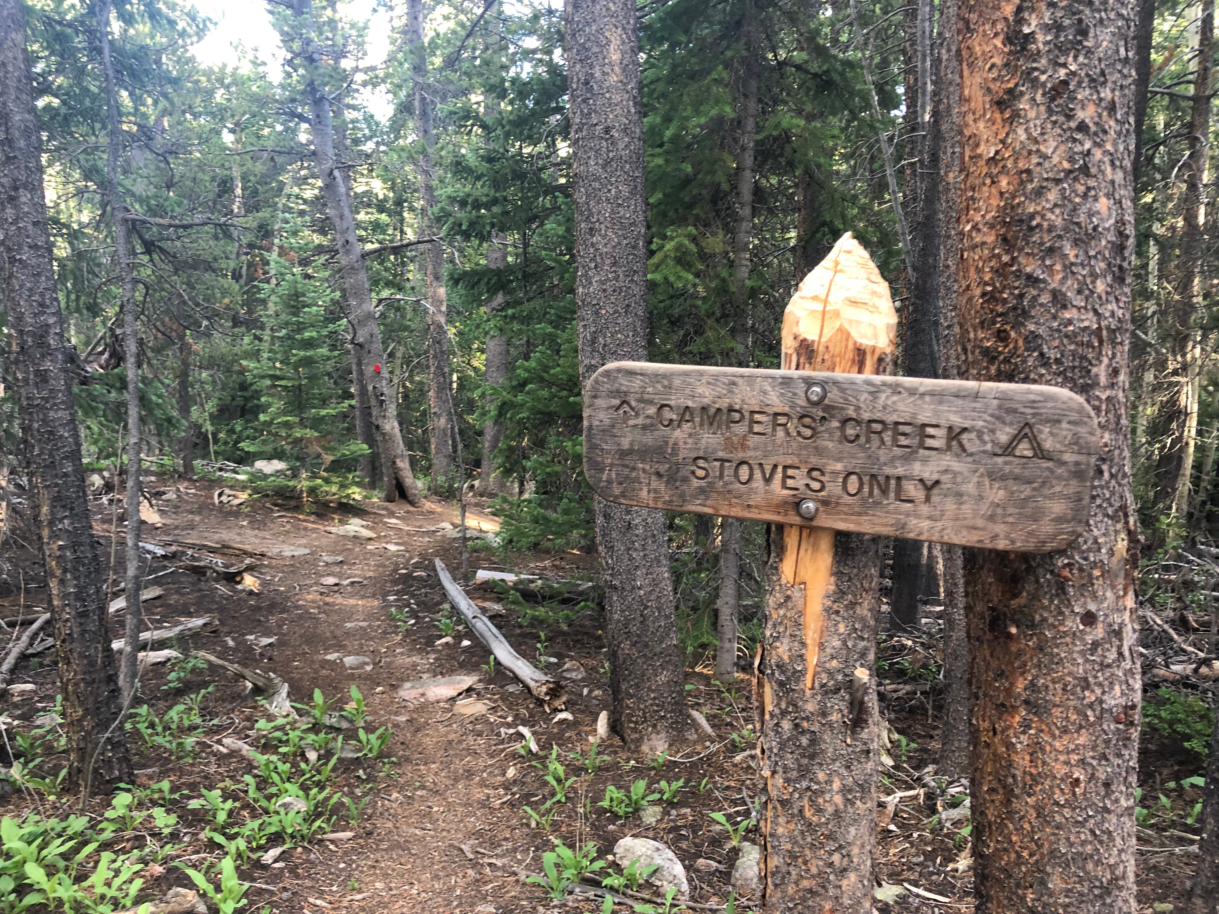 Camper submitted image from Camper’s Creek Backcountry Campsite — Rocky Mountain National Park - 1