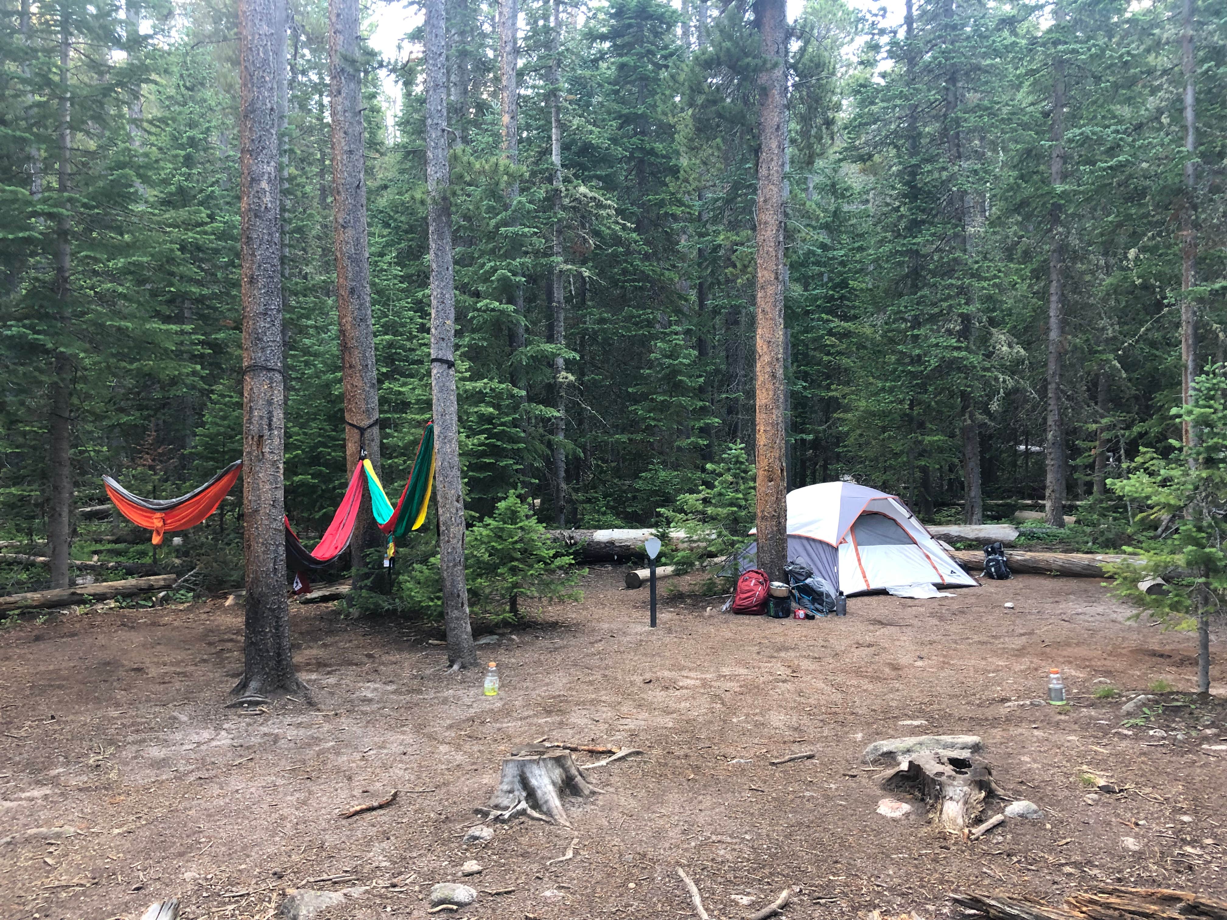 Weston S.'s photo of tent camping at Camper’s Creek Backcountry Campsite — Rocky Mountain National Park near Estes Park, CO