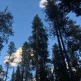 Review photo of Camper’s Creek Backcountry Campsite — Rocky Mountain National Park by Weston S., July 27, 2019