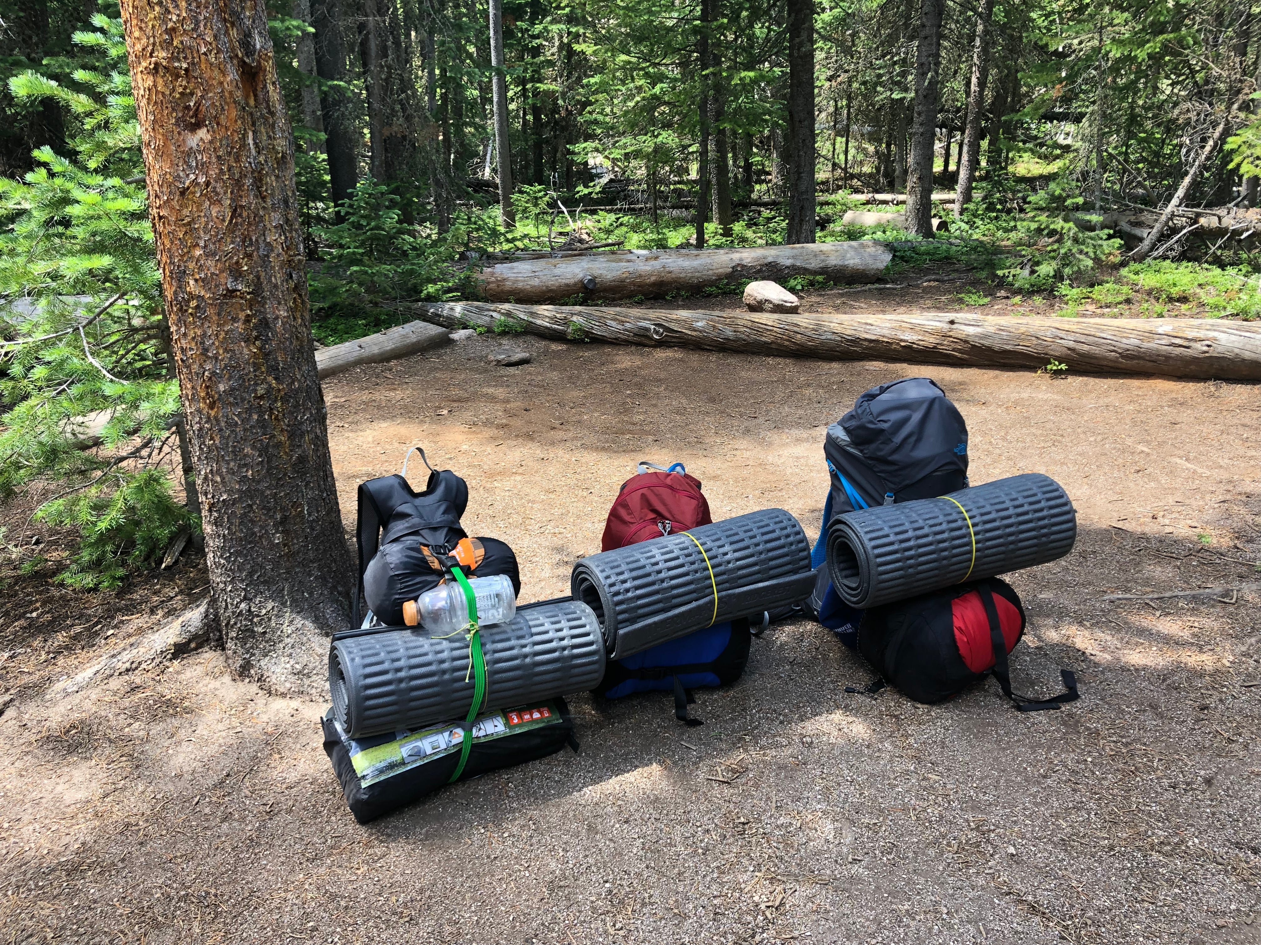 Camper submitted image from Camper’s Creek Backcountry Campsite — Rocky Mountain National Park - 4