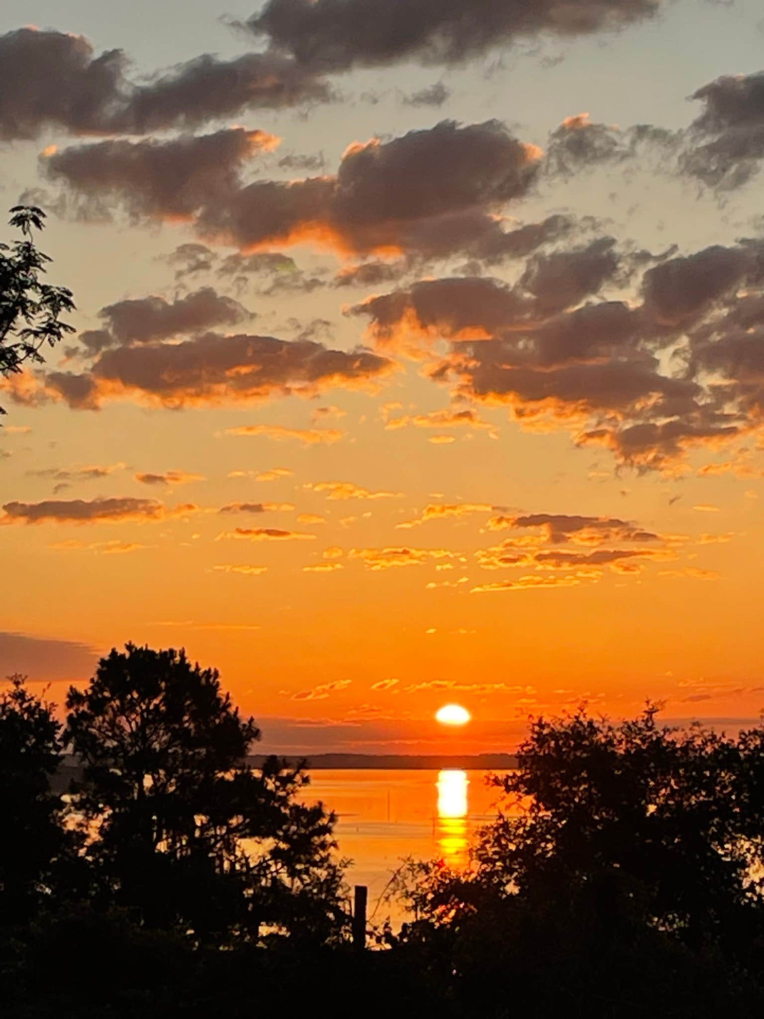 Camper submitted image from GranD Bluff View at Lake Oklawaha Resort - 2