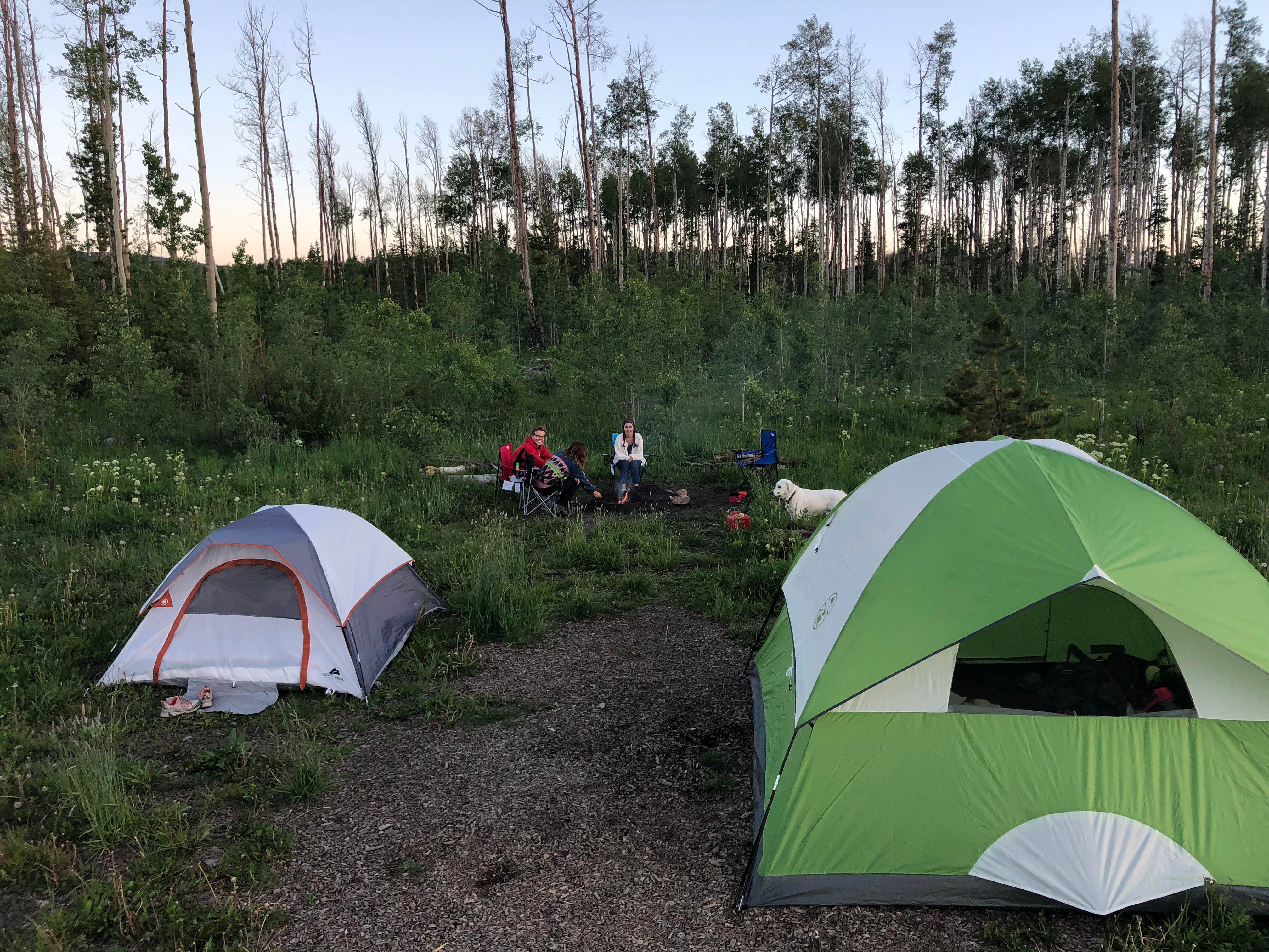 Weston S.'s photo at Primitive Sites — State Forest State Park near Gould, CO