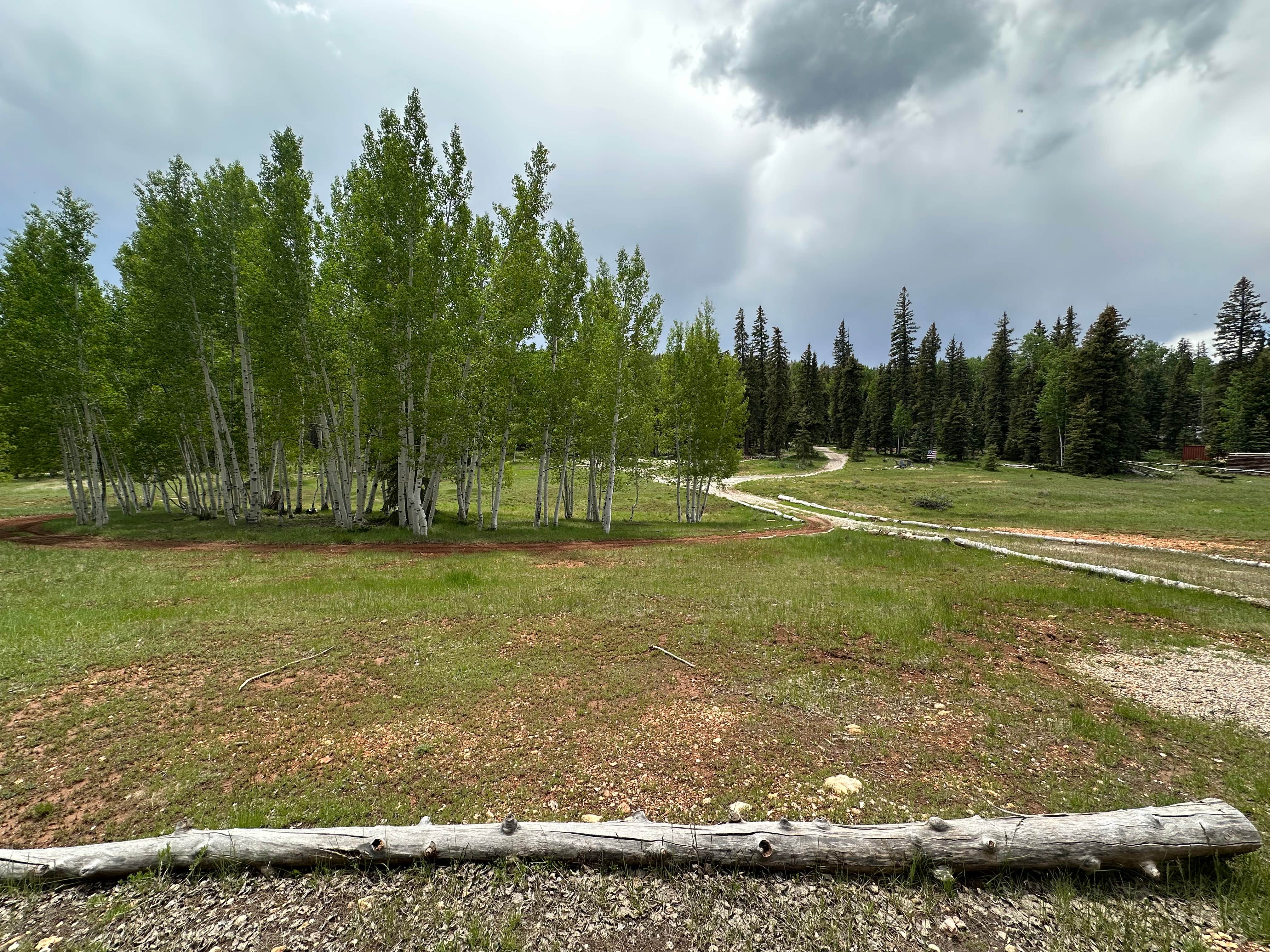 Camping near Navajo Lake Campground: (site removed), Duck Creek Village, Utah