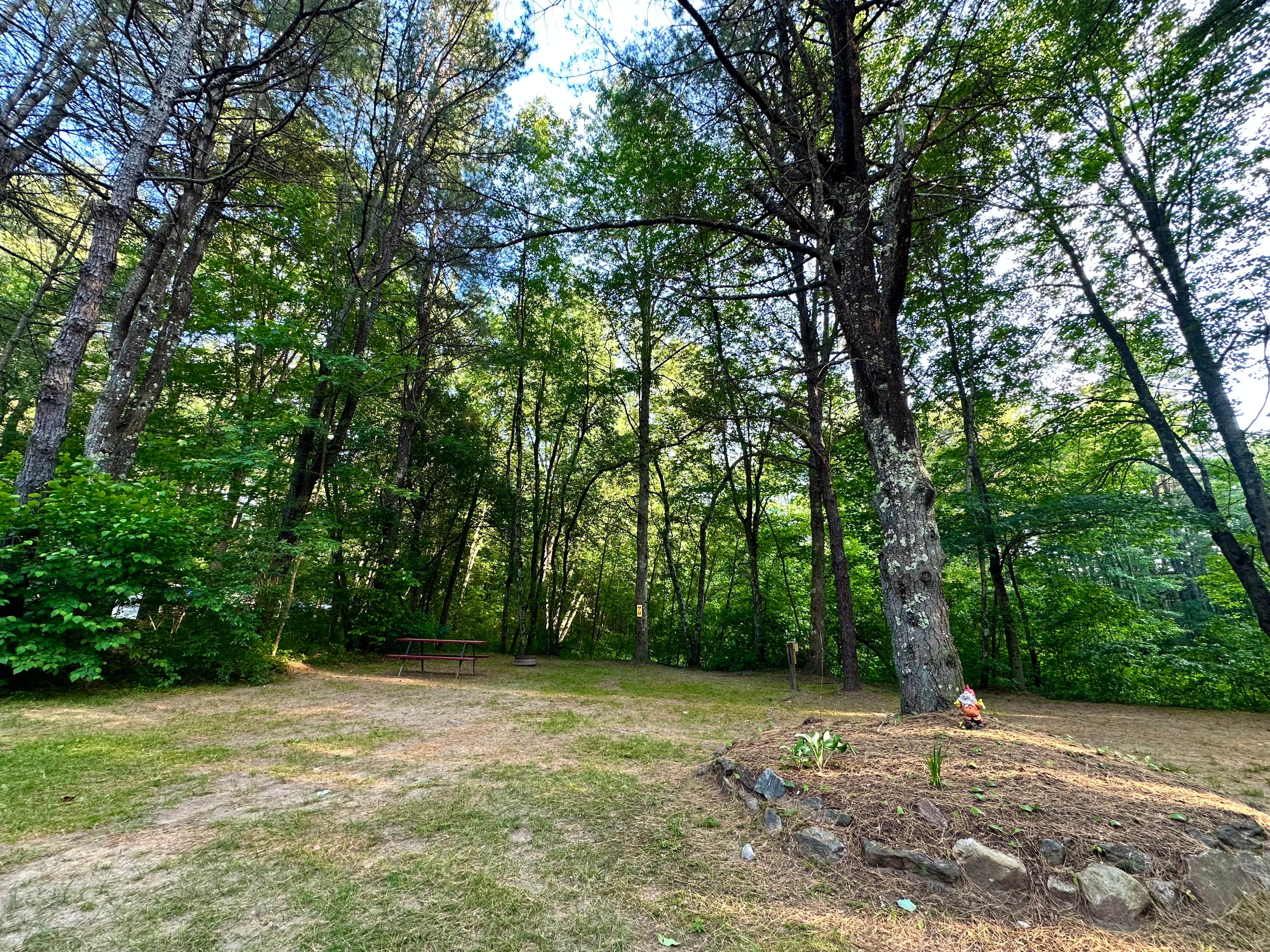 Camper submitted image from Epsom Valley Campground - 5
