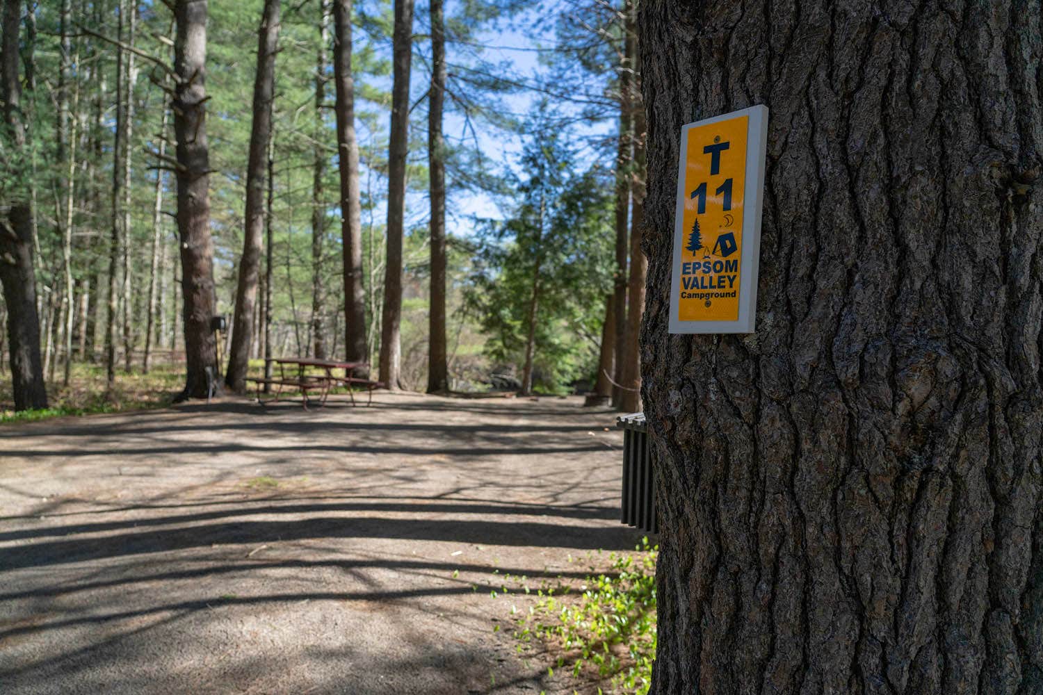 Camper-submitted photo at Epsom Valley Campground near Pittsfield, NH