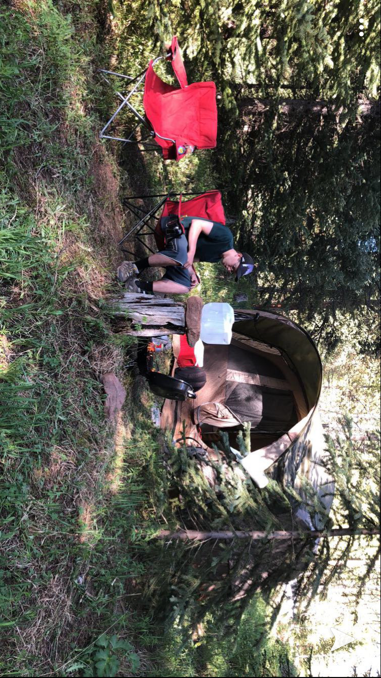 Camper submitted image from Piney Crossing Primitive Campground - CLOSED - 5