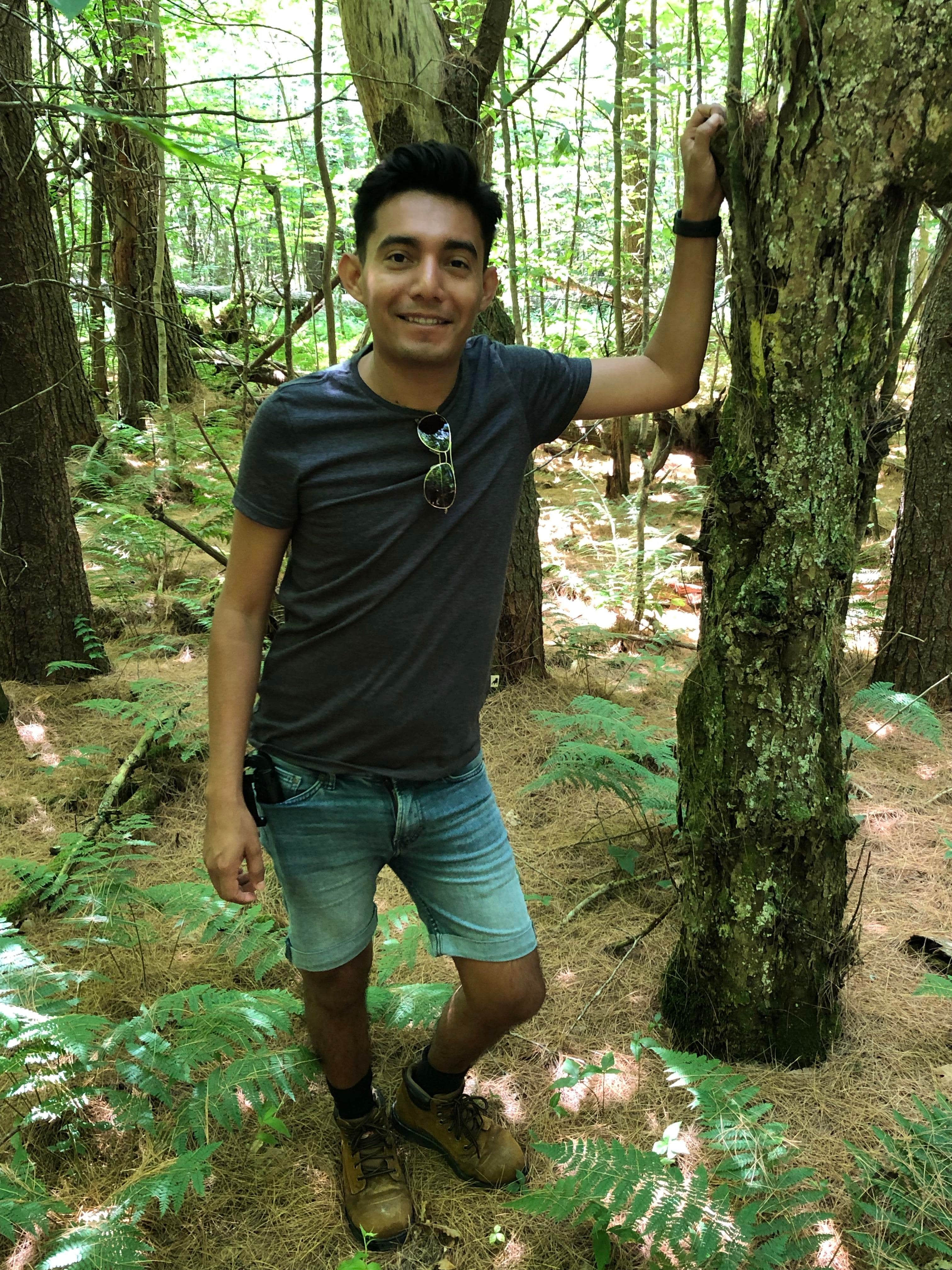 Camper-submitted photo at Bowman Lake State Park Campground near DeRuyter, NY