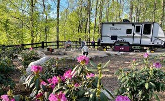 Jake R.'s photo of camping with pets at Gatlin Ridge RV Park near Cashiers, NC