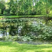 Review photo of RiversEdge RV Park by Tori K., June 13, 2025