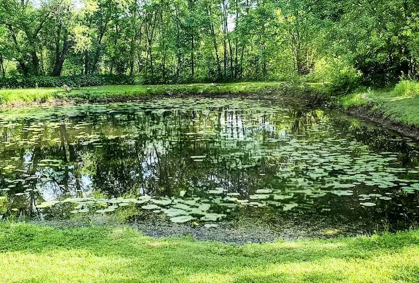 Camper submitted image from RiversEdge RV Park - 2