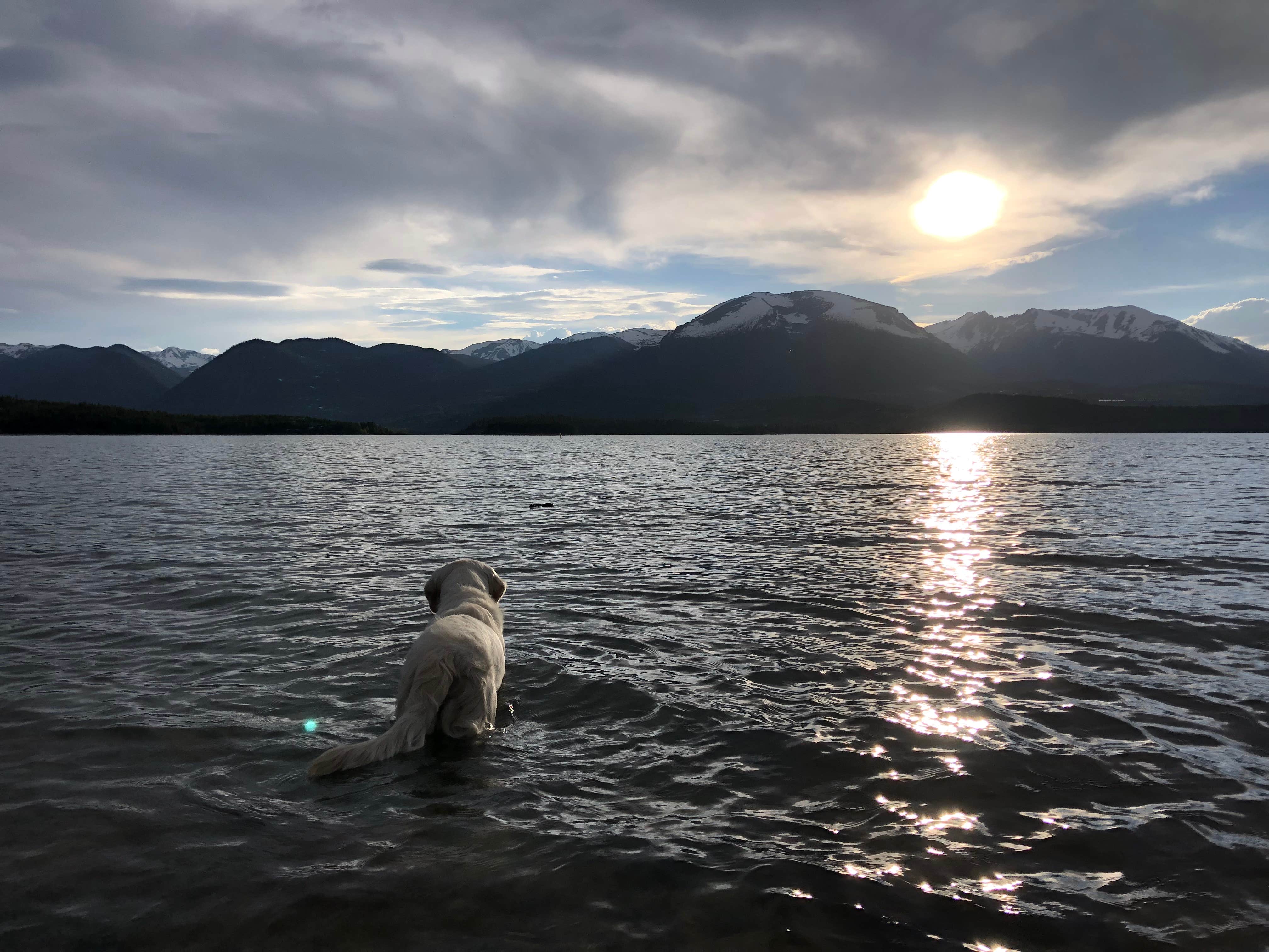 Prospector Campground
