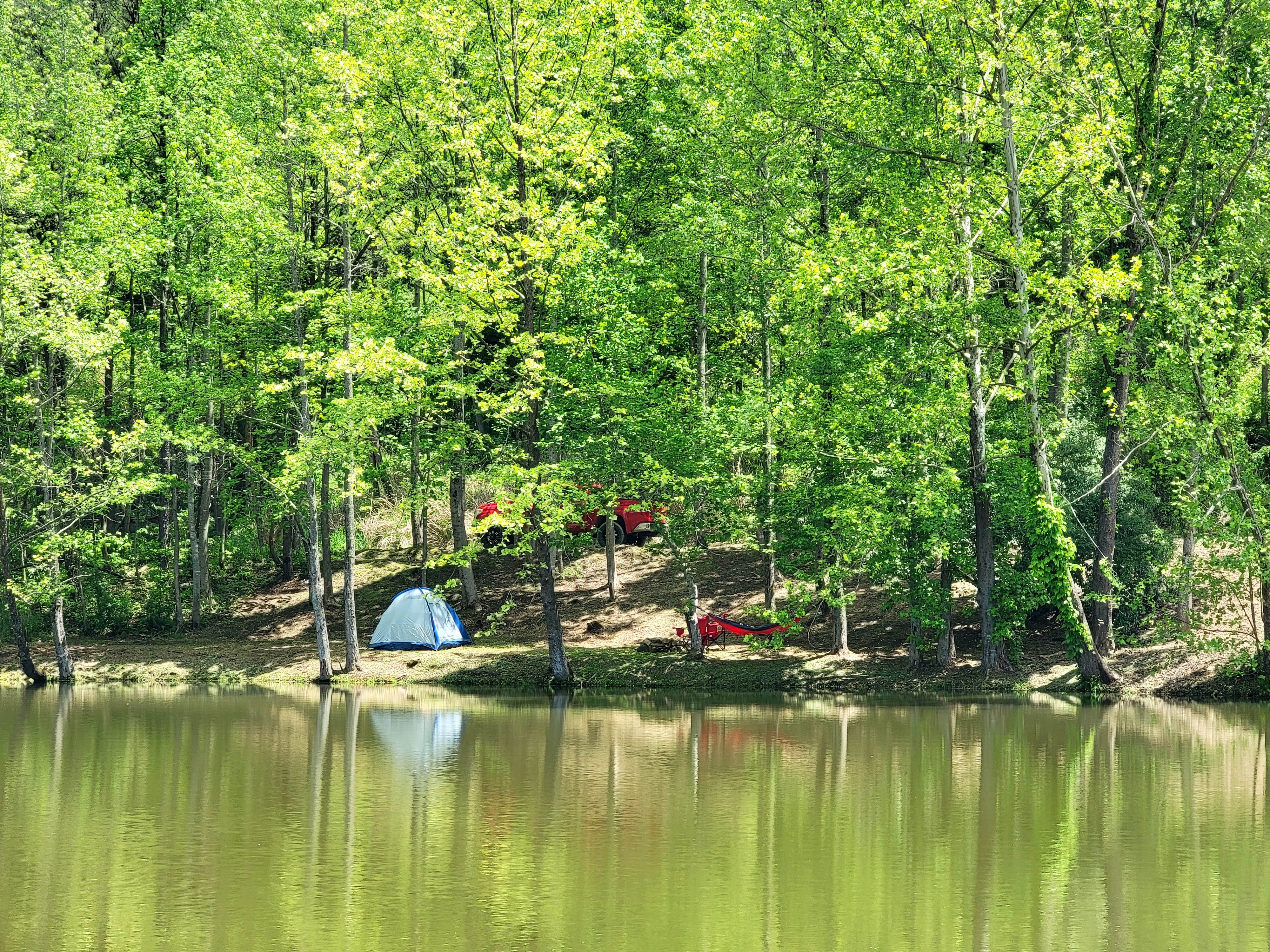 Melissa M.'s photo at Gray Hills near Pineville, KY
