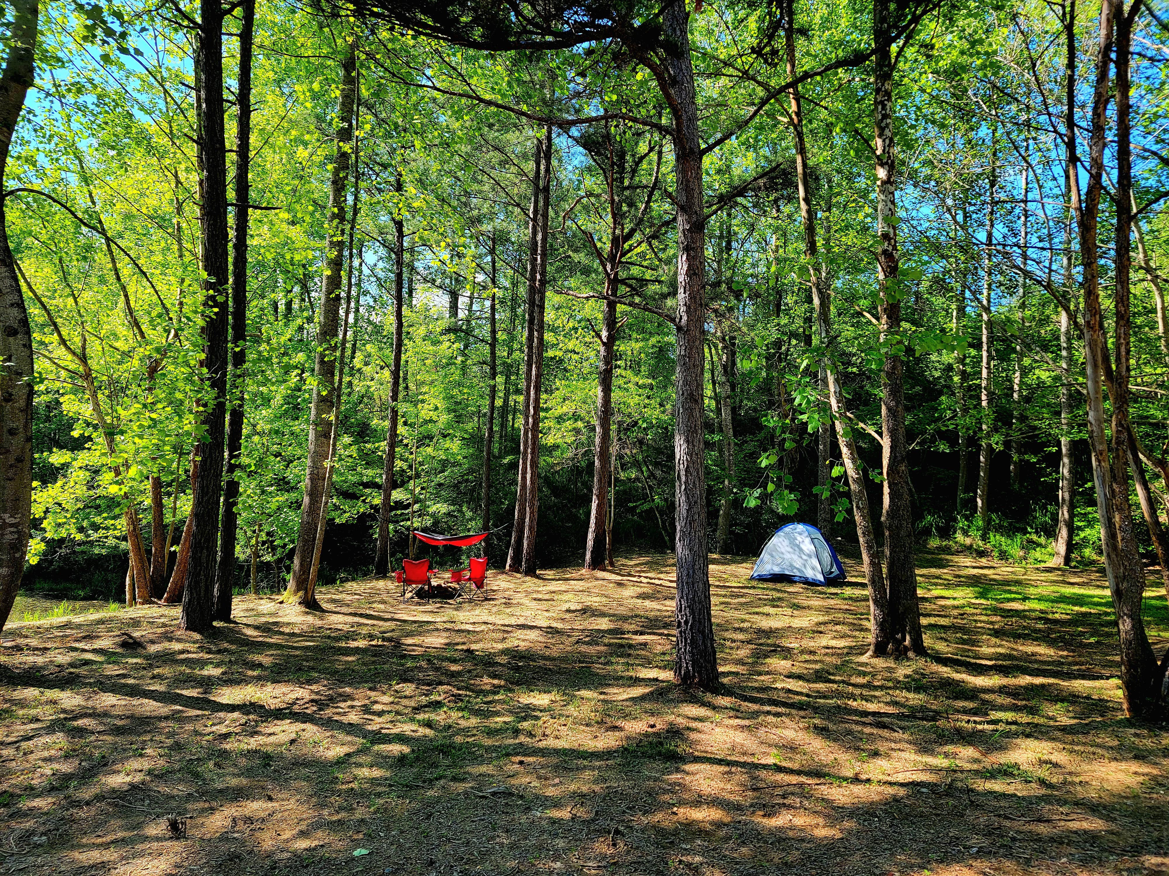 Melissa M.'s photo at Gray Hills near Cumberland Gap National Historic Park
