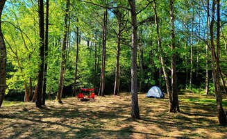 Melissa M.'s photo at Gray Hills near Cumberland Gap National Historic Park