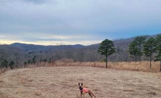 Melissa M.'s photo of camping with pets at Gray Hills near Laurel River Lake