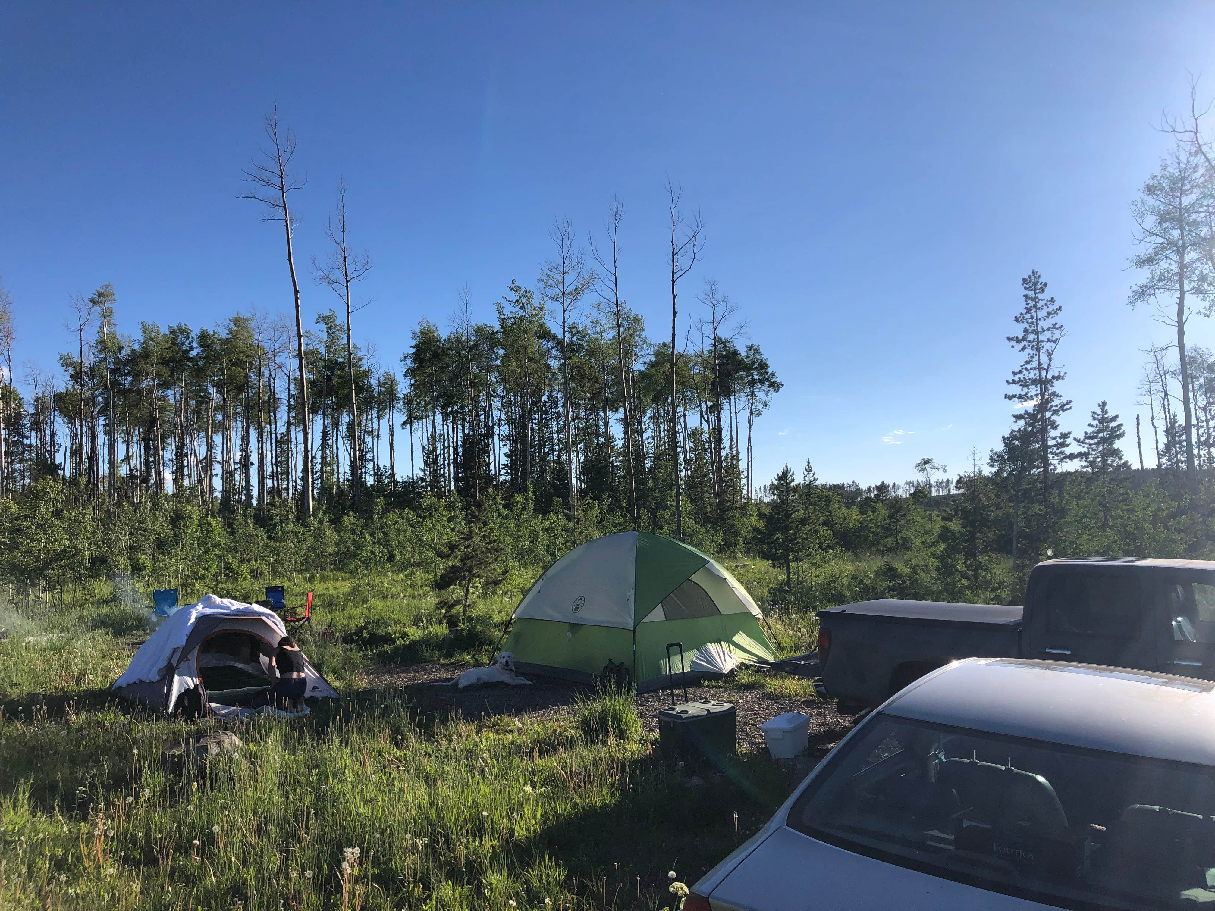 Camper-submitted photo at Primitive Sites — State Forest State Park near Gould, CO