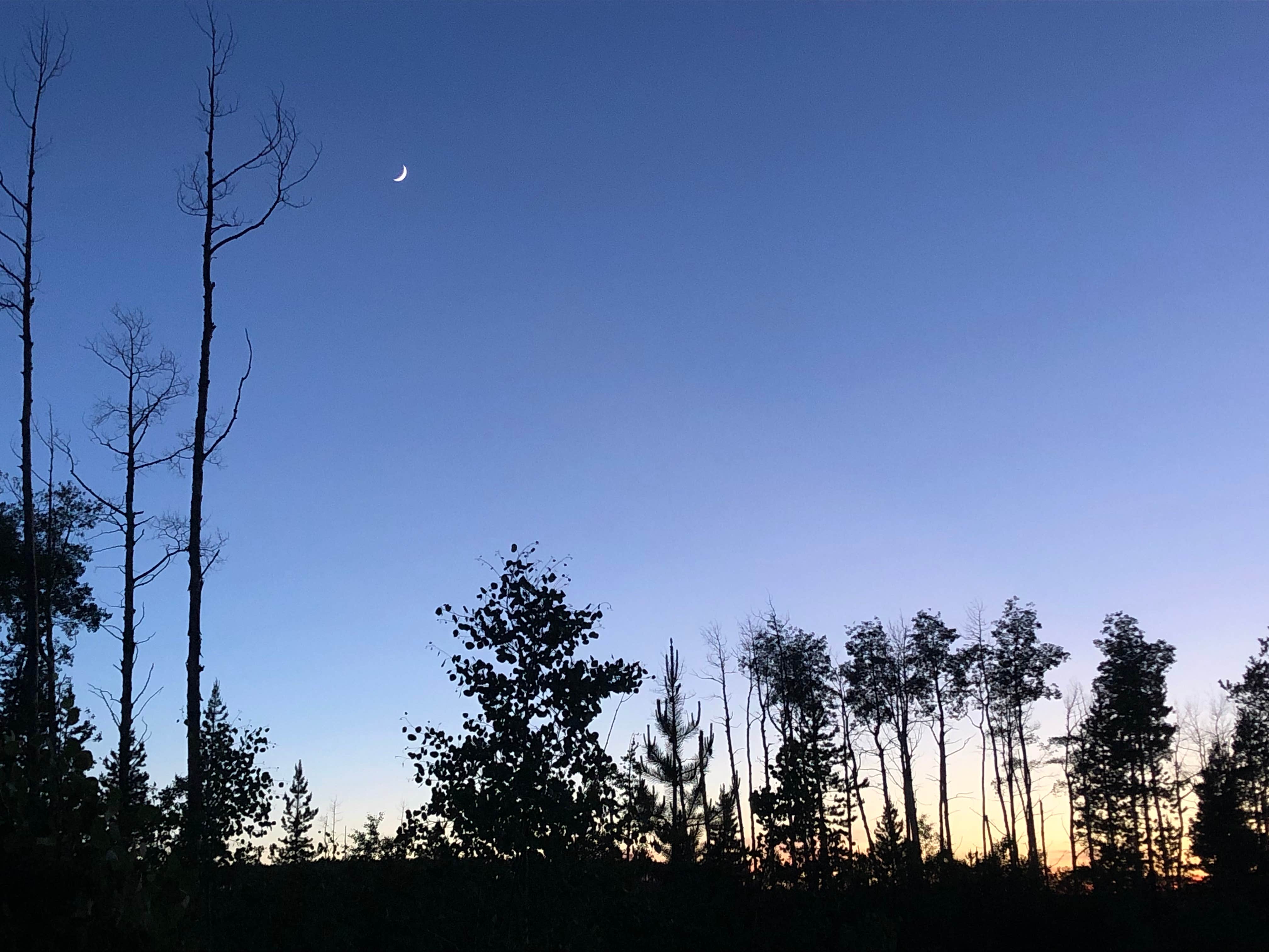 Camper-submitted photo at Primitive Sites — State Forest State Park near Gould, CO